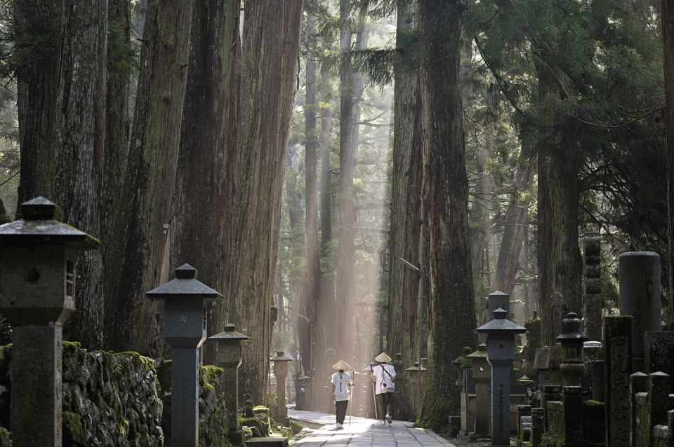 Sacred Koyasan: Meditation in Sanctuary to Purification - Important Information