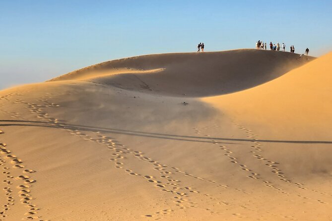 Sahara Desert and Paradise Valley Including Tajine for Lunch - Key Points