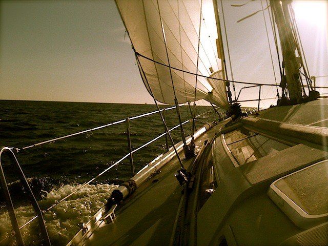 Sailboat Ride in Sado River and Atlantic Ocean - Half Day - Key Points