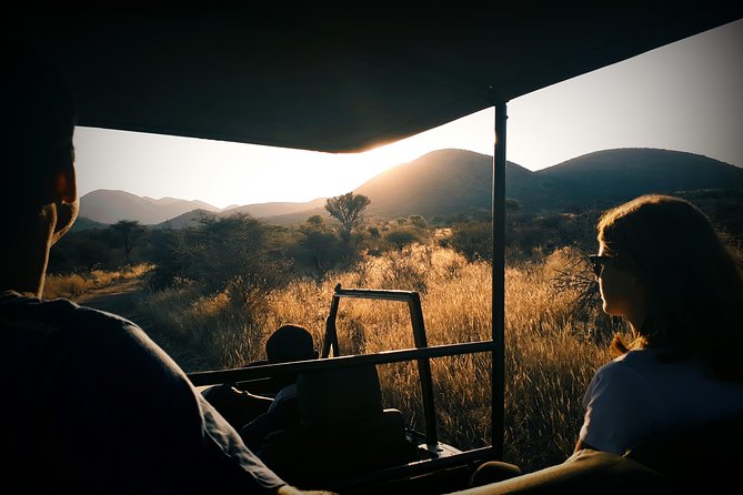 Scenic Game Drive Activity - Key Points