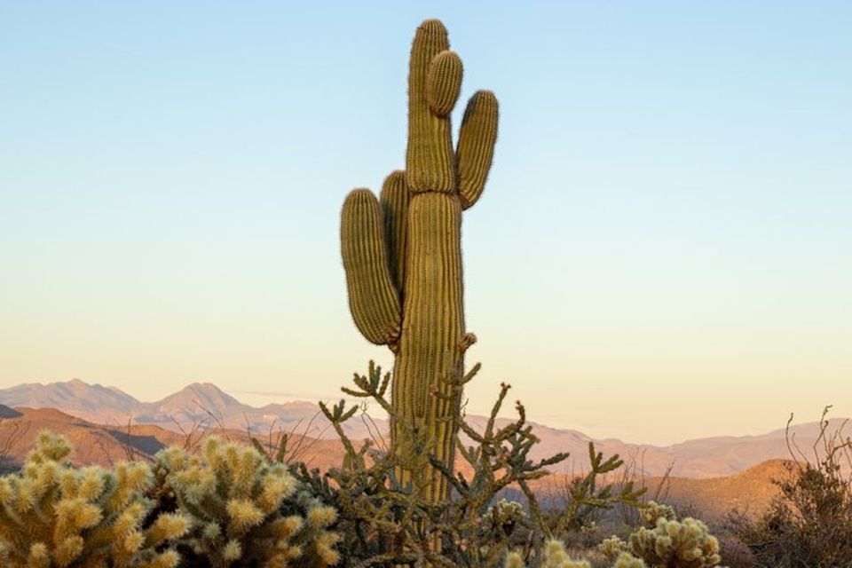 Scottsdale: McDowell Sonoran Preserve Hiking Tour - Key Points