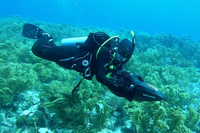 Scuba Diving With Sea Scooter (certified Divers Only) Key Points