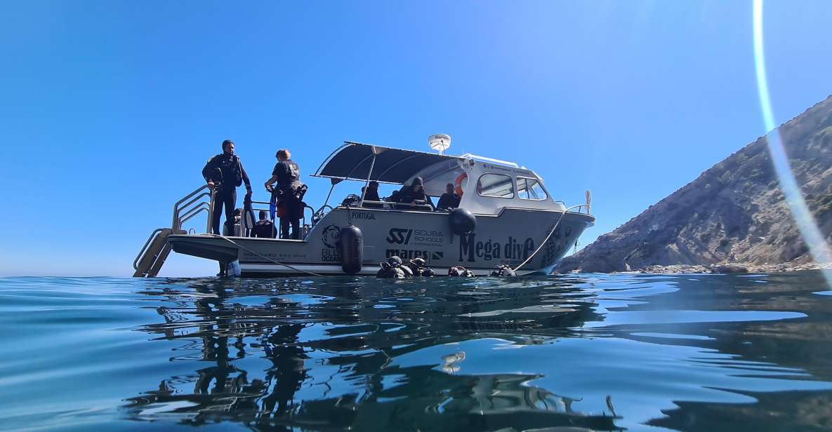 Sesimbra: Double Dive on a Marine Reserve - Overview of the Experience