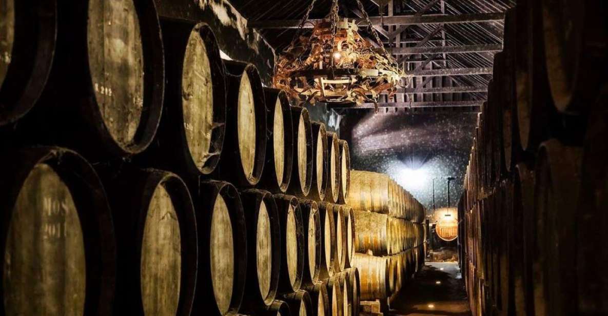 Setúbal Wine Tour: Discover the Moscatel Wine - Key Points