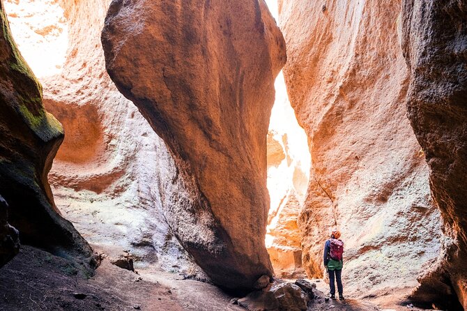 Small-Group Half-Day Canyoning in La Orotava - Key Points