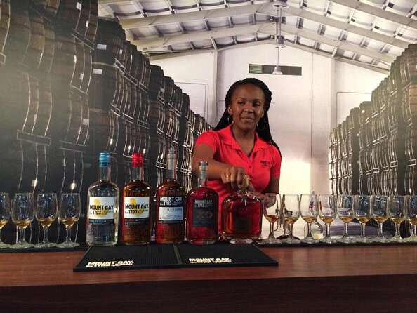 Small-Group Story of Rum Tour in Its Birthplace of Barbados - Key Points