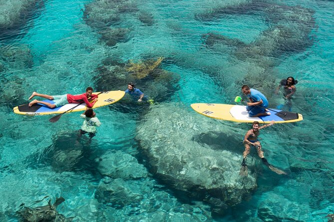 Stand up Paddleboard Eco Tour - Key Points