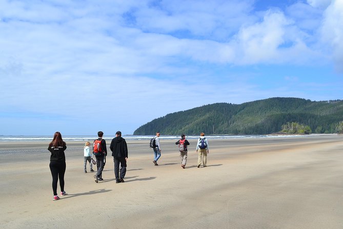 STUNNING San Josef Bay Tour in Cape Scott Provincial Park - Key Points