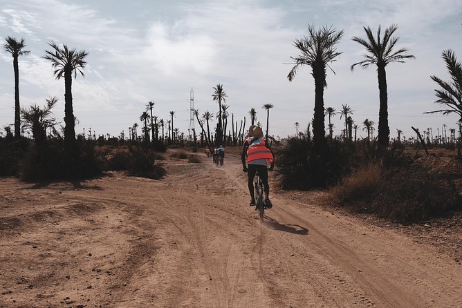 Suncycling in Marrakechs Palm Groove - Breakfast Included - Tour Overview