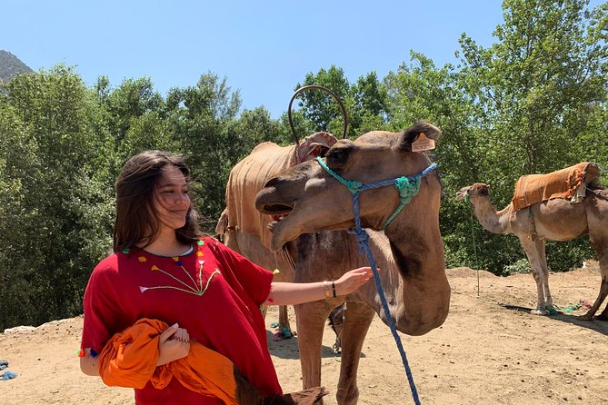 Sunset Camel Ride in the Palm Groves of Marrakech - Key Points