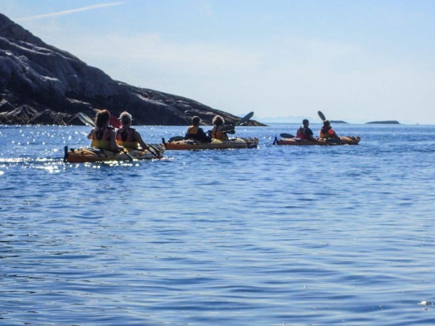 Svolvaer: Sea Kayaking Experience - Key Points