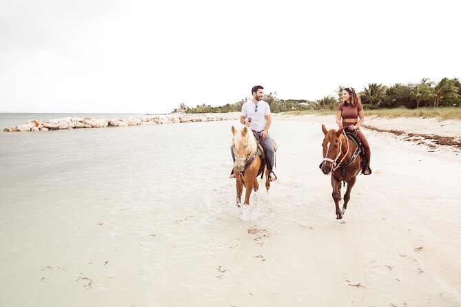 Swim With the Horses Private Tour - Tour Overview