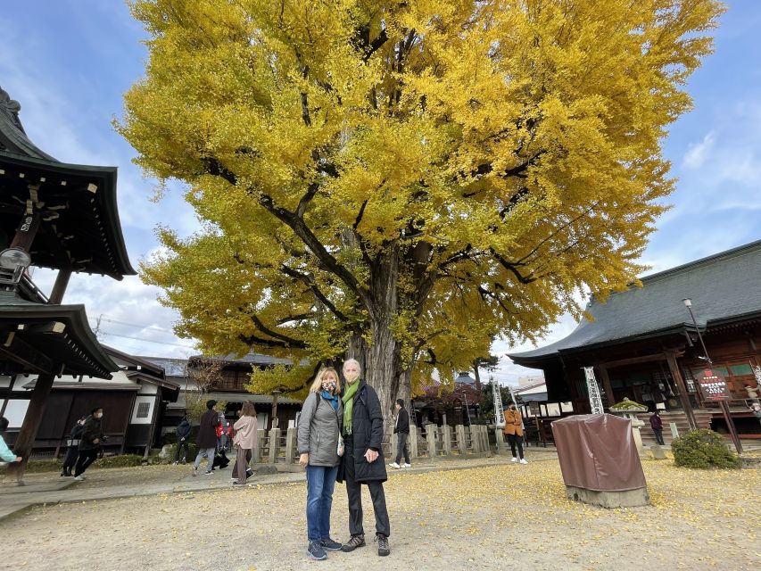 Takayama: Private Walking Tour With a Local Guide - Key Points