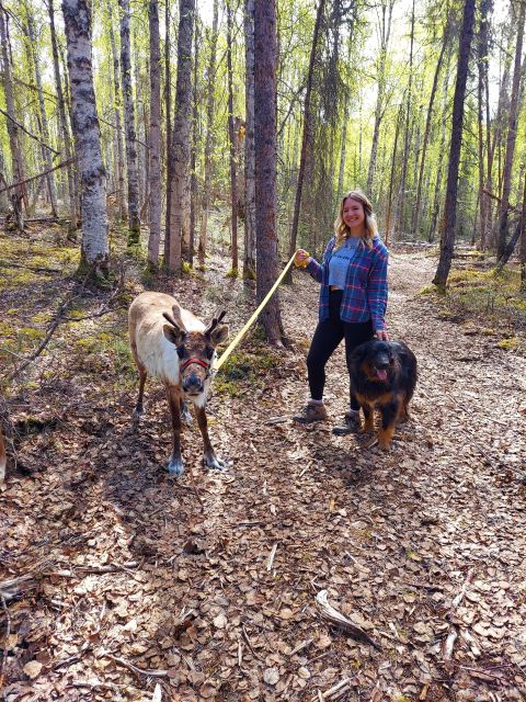 Talkeetna: A Walk in the Woods...with Reindeer! - Key Points