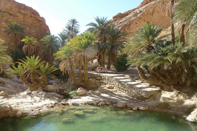 Tamerza Canyon Oasis Tour - Key Points