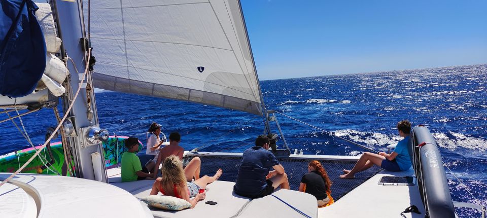 Tenerife: Catamaran Sailing Trip With Snorkeling and Lunch - Key Points