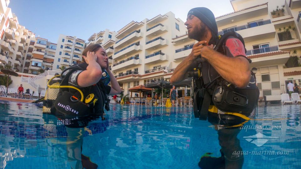 Tenerife; Guided Scuba Diving Trips by Boat in Small Groups - Key Points