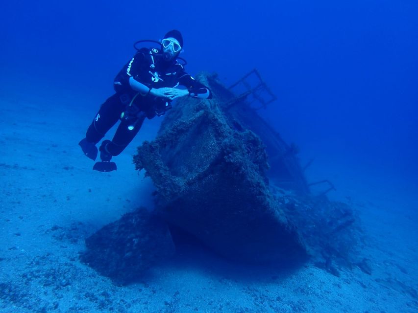 Tenerife: Private Dive for Beginners From a Boat - Key Points