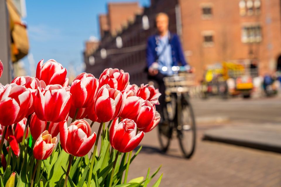 The Hague: Express Walk With a Local in 60 Minutes - Key Points