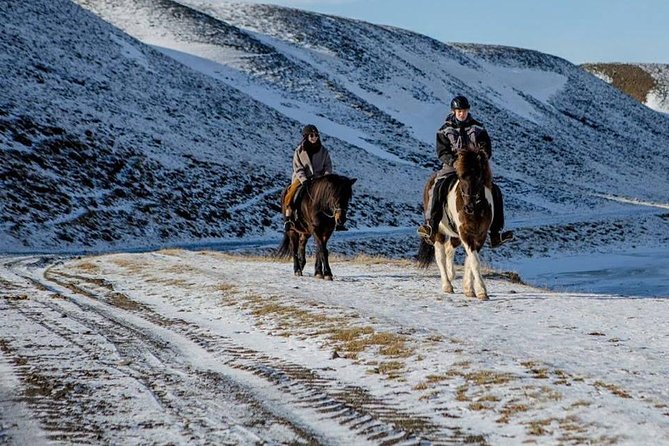 The Viking Horse Riding Experience in North Iceland - Key Points