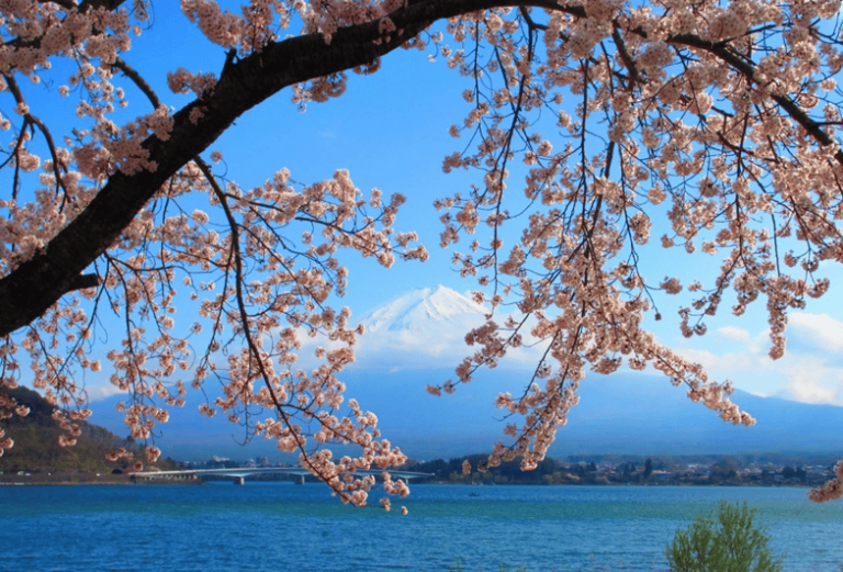 Tokyo: 2 Day Customizable Private Tour With Hotel Transfer Tour Overview And Pricing