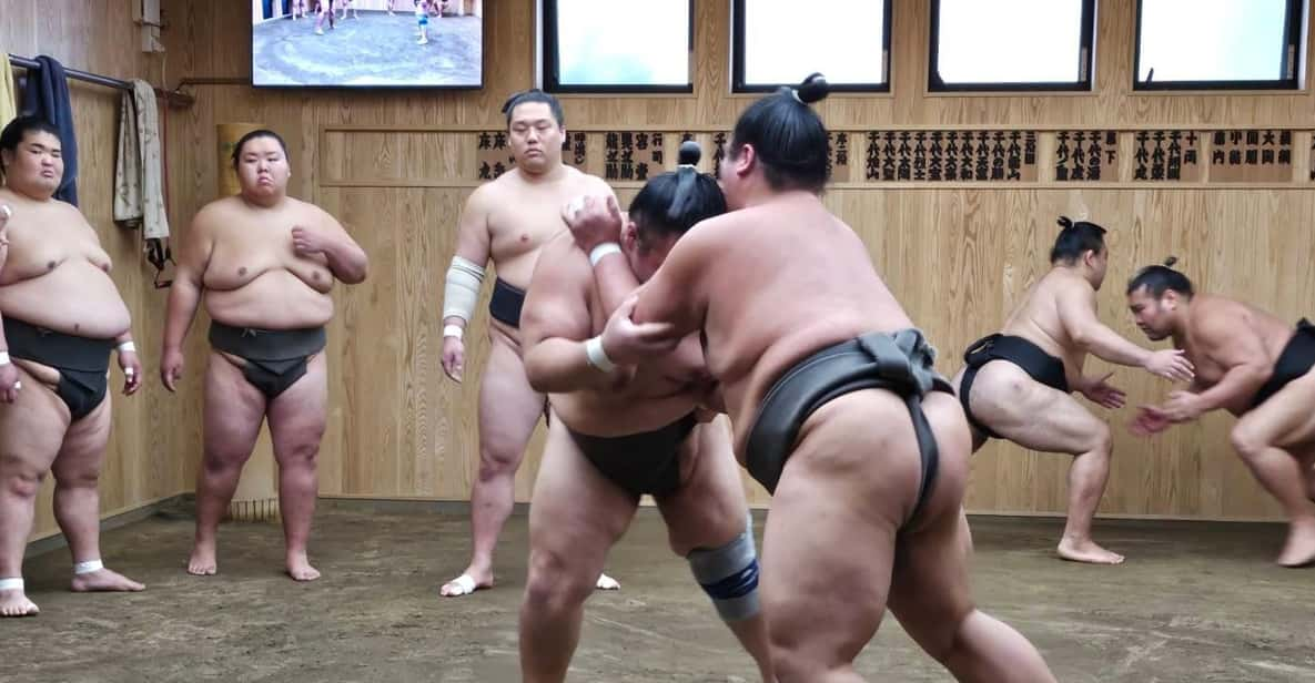 Tokyo: Grand Sumo Morning Training Tour Review - Key Points