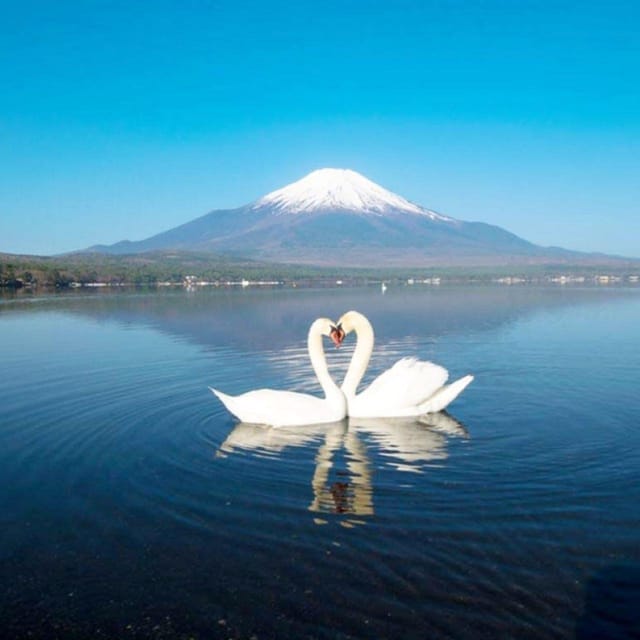 Tokyo: Mount Fuji, Yamanaka Lake, Kawaguchiko Lake Day Trip - Seasonal Highlights at Yamanaka Lake