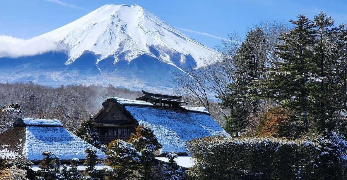 Tokyo: Mt. Fuji and Hakone 1-Day Private Tour - Key Points