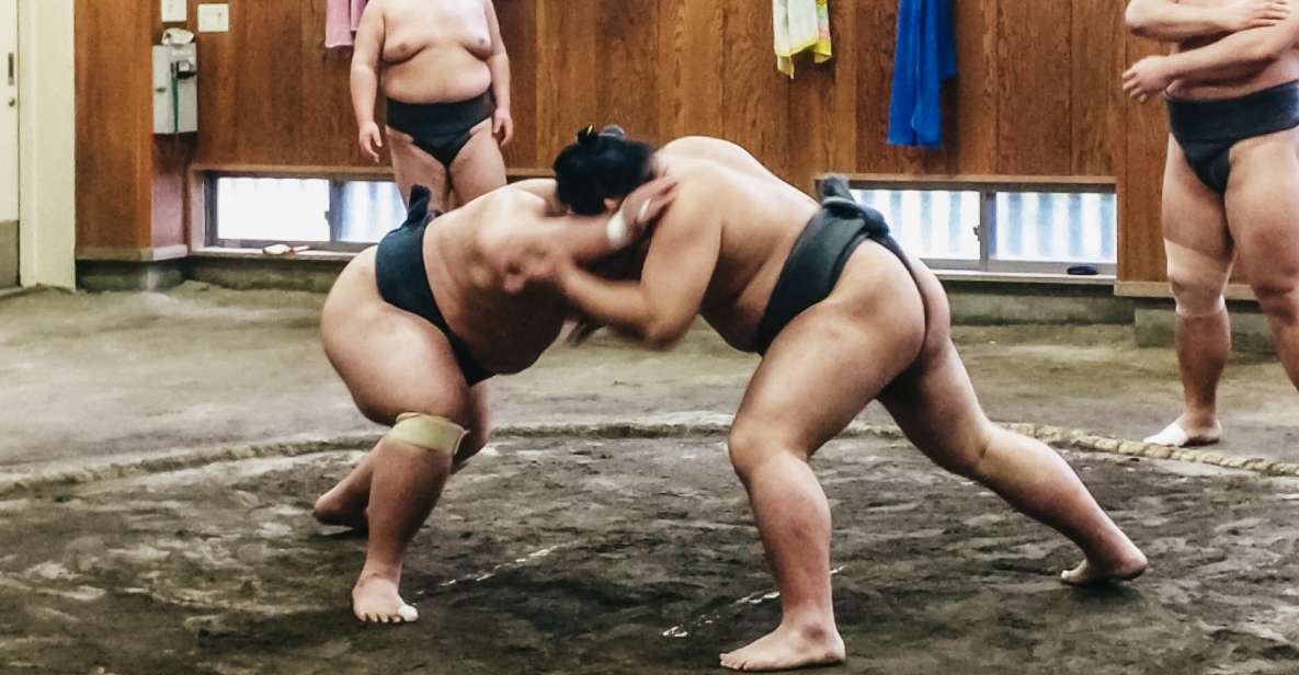 Tokyo: Sumo Morning Training Visit - Key Points