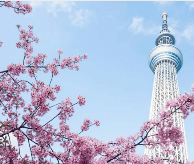 Tokyo Unforgettable Private Tour for Family(Up-To 6 Persons) - Itinerary Highlights