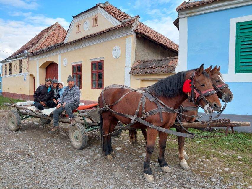 Transylvania Gems: Sighisoara, Medias, Biertan & Gypsy Life - Key Points