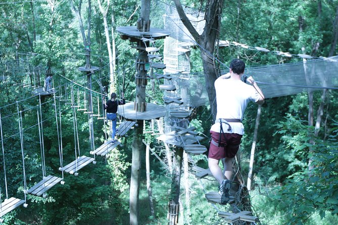 Tree Top Adventure in Rueil-Malmaison - Key Points