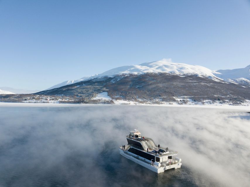 Tromsø: Arctic Fjord Cruise by Hybrid-Electric Catamaran - Key Points