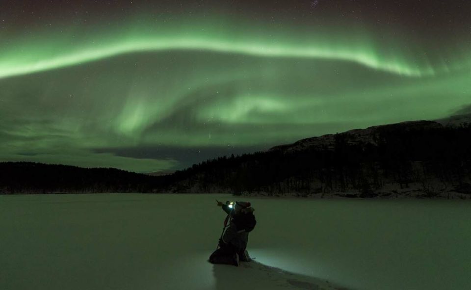 Tromsø: Small Group Aurora Hunt Tour With Citizen Science - Key Points