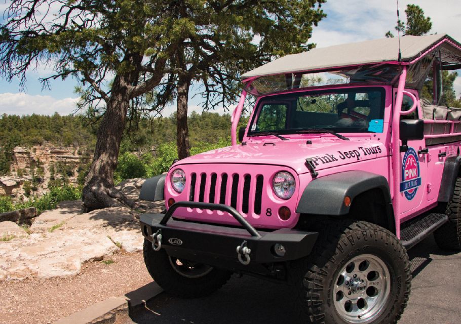 Tusayan: Grand Canyon Desert View & South Rim Pink Jeep Tour - Key Points