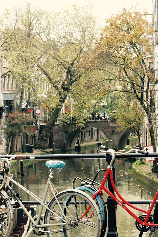 Utrecht: Customizable Tour & Optional Train From Amsterdam - Key Points