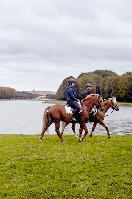 Versailles: Horse-riding, Gastronomy & Château - Key Points