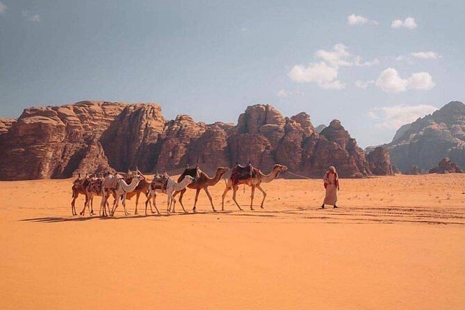 Wadi Rum Half Day From Aqaba Private Tour Unesco World Heritage Wadi Rum