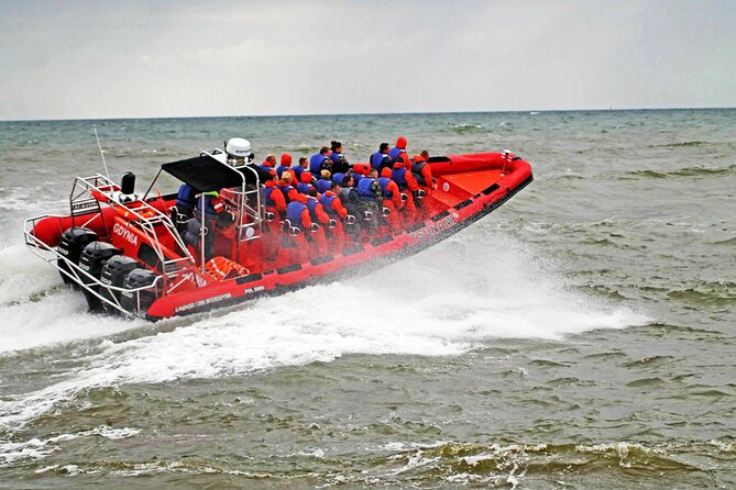 Whale Watching by RIB Speedboat From Downtown Reykjavik - Key Points