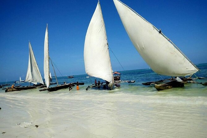 Zanzibar Full Day Mnemba Island, Nungwi and Kendwa Beach Tour - Key Points