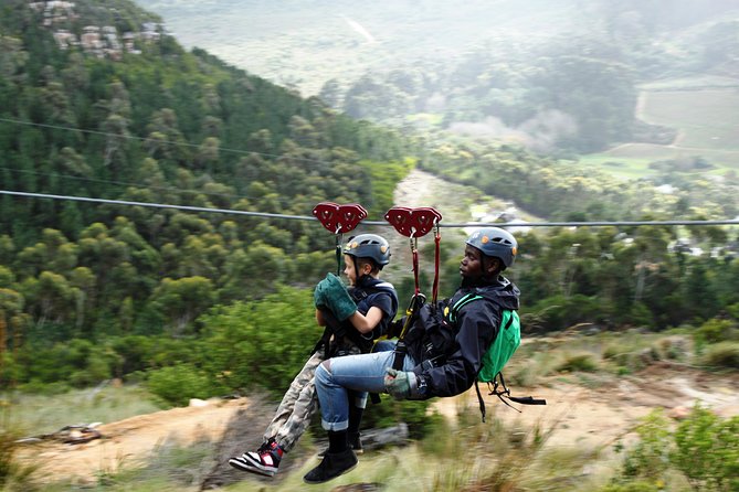 Zipline Cape Town - From Foot of Table Mountain Reserve - Key Points