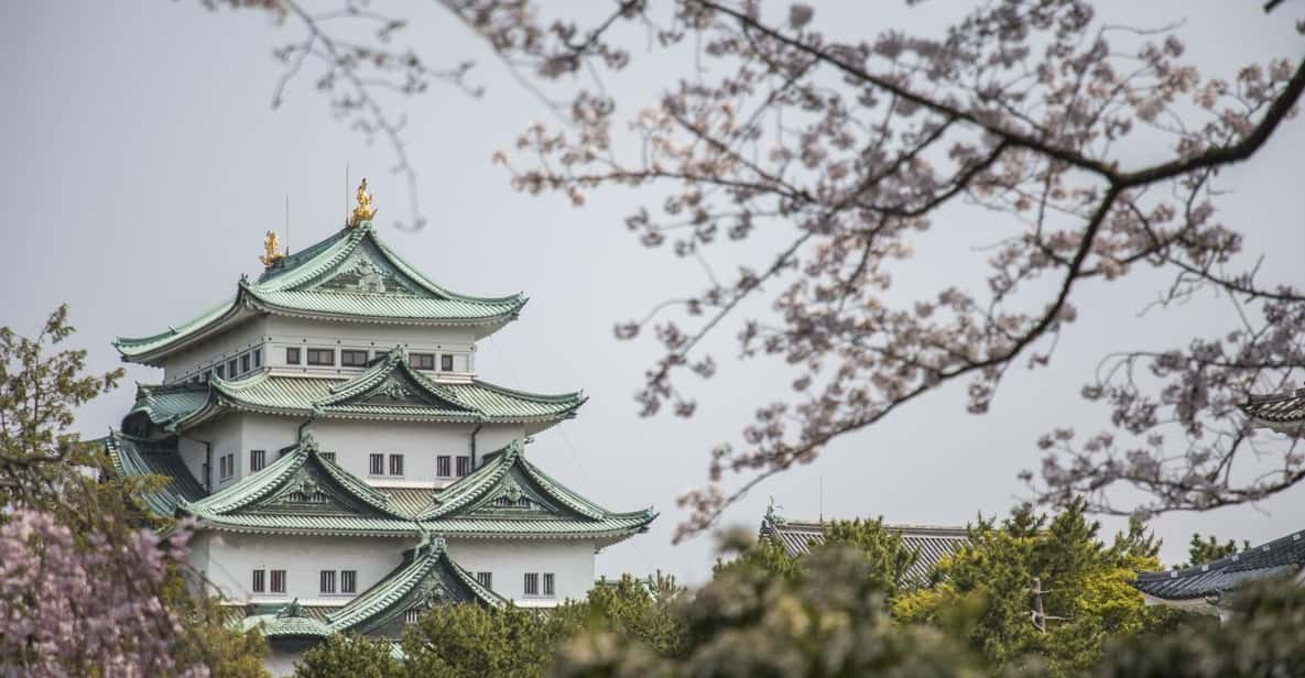 1-Day Tour: Nagoya Castle Review - Key Points