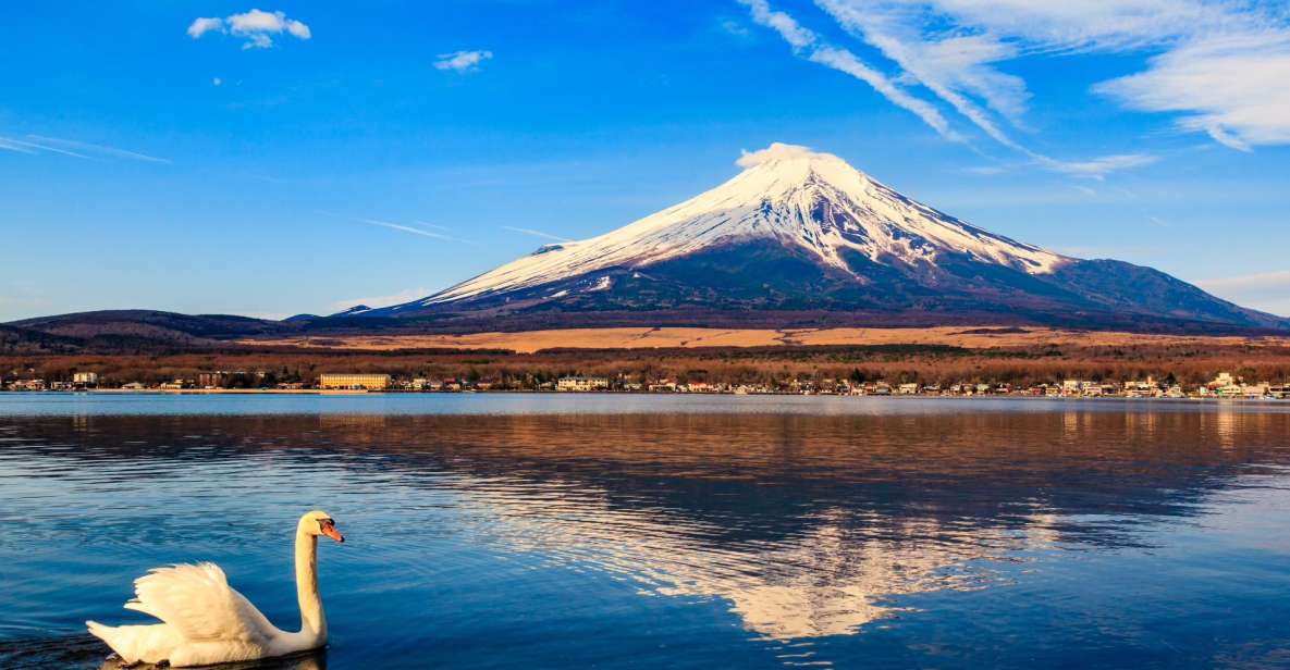 1-Day Trip: Mt Fuji + Kawaguchi Lake Area - Key Points