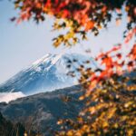 1 Day Mt Fuji Sightseeing Trip From Tokyo Tour Overview