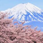 1 Day Mt Fuji Tour With Pick Up And Drop Off From Tokyo Tour Overview And Pricing