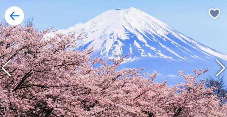 1 Day Mt Fuji Tour With Pick Up And Drop Off From Tokyo Tour Overview And Pricing