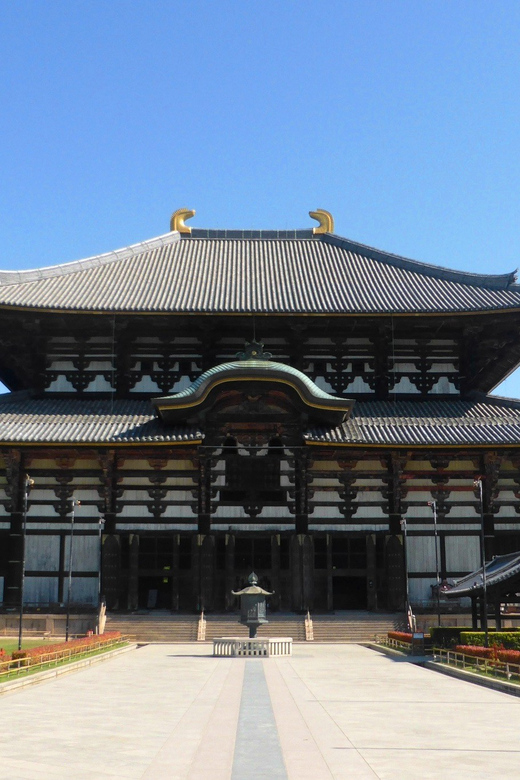 1 Day Osaka To Nara: Escape To Find Peace With Temple & Deer Tour Overview And Pricing