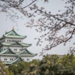 1 Day Tour: Nagoya Castle Review Tour Overview And Pricing