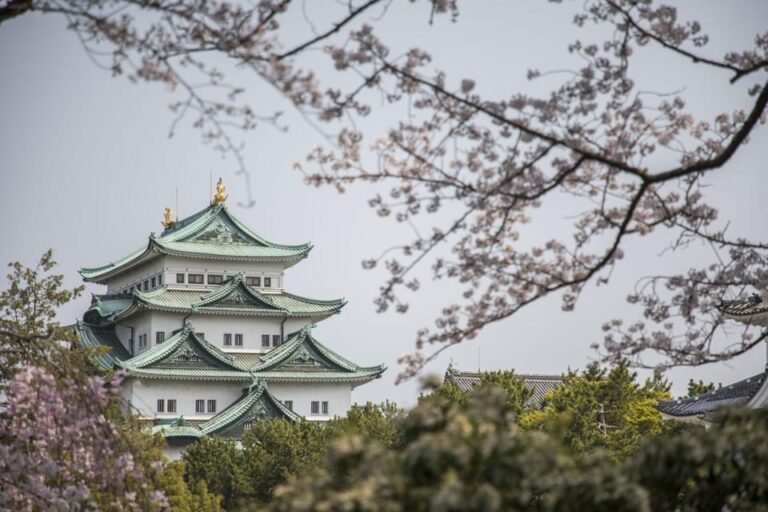 1 Day Tour: Nagoya Castle Review Tour Overview And Pricing