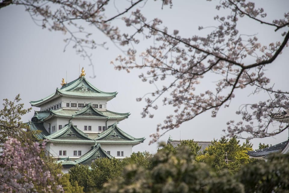 1-Day Tour: Nagoya Castle Review - Tour Overview and Pricing